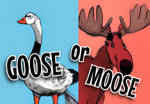 Goose Or Moose