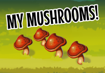 My Mushrooms!